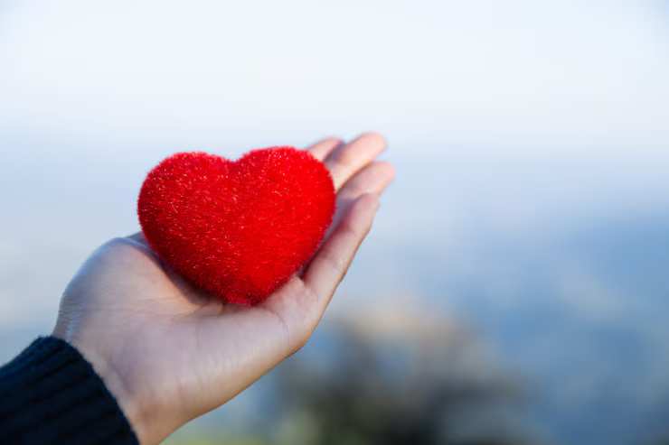 red-heart-hand-nature-background