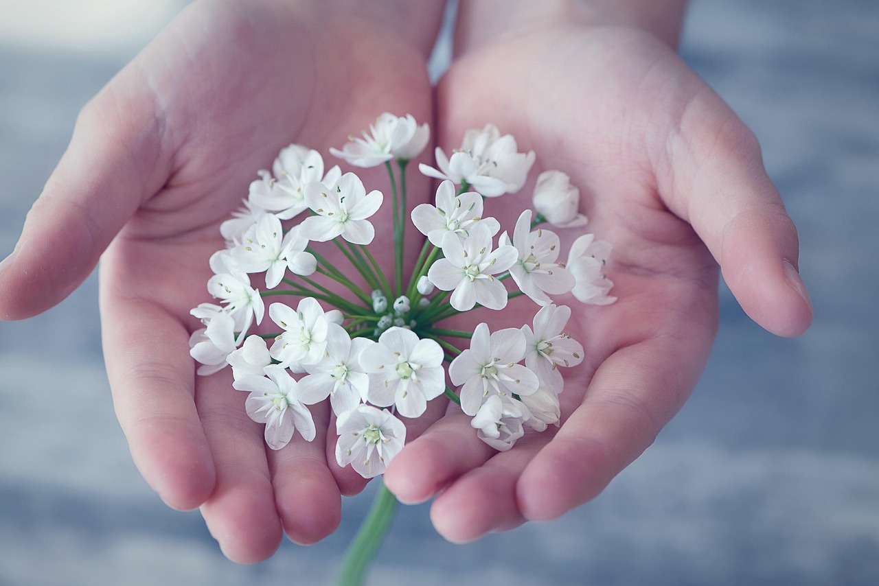 white-flower-holding-in-hand white-flower-holding-in-hand
